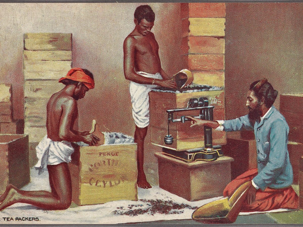 Ceylon Dimbula tea — loose leaves