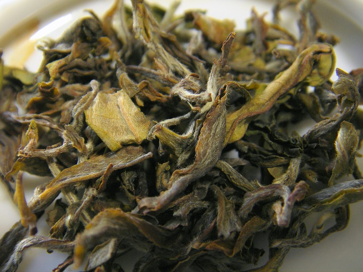 Darjeeling White tea — loose leaves
